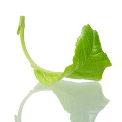 Similar image 8221950