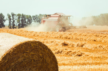 Similar image 8222035