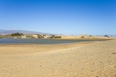 Similar image 8222120