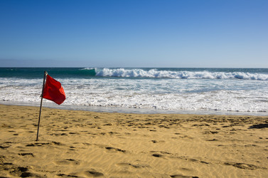 Similar image 8222121