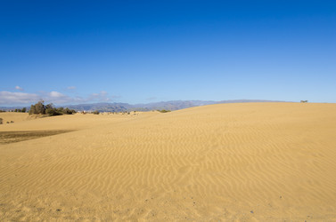 Similar image 8222123