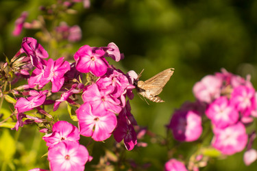 Similar image 8222133