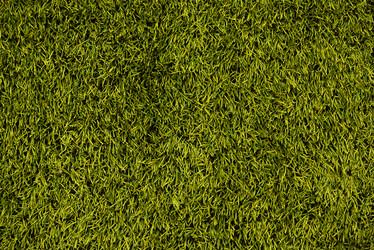 Similar image 8222134