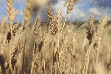 Similar image 8222180