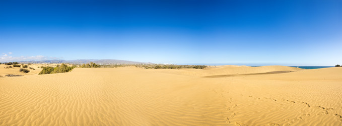 Similar image 8222202