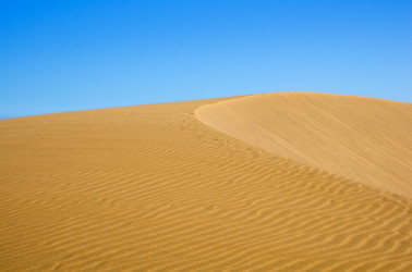 Similar image 8222204