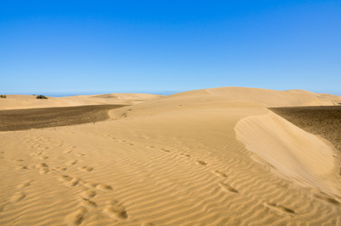 Similar image 8222205