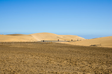 Similar image 8222206