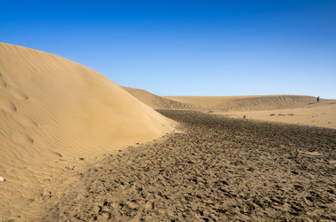 Similar image 8222208