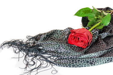 Similar image 8222239