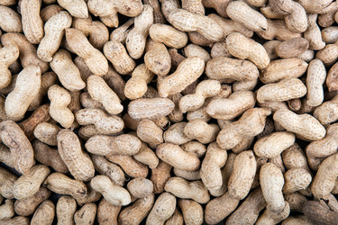 Similar image 8222415