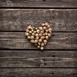 Similar image 8222455