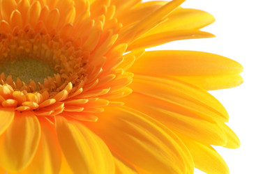 Similar image 8222499