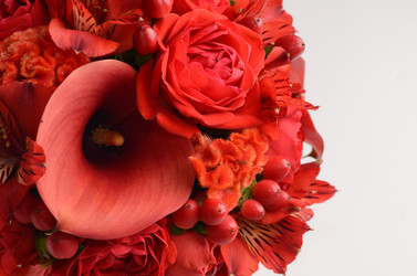 Similar image 8222513