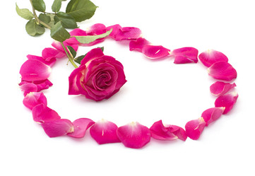 Similar image 8222520