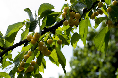 Similar image 8222522