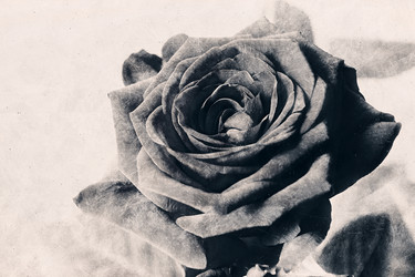 Similar image 8222536