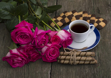 Similar image 8222544