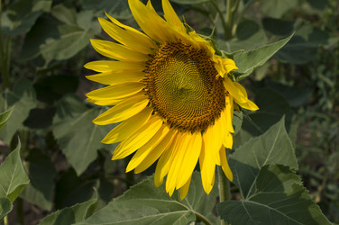 Similar image 8222550