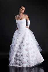 Similar image 8222596