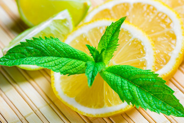 Similar image 8222601