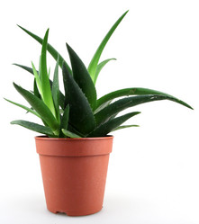 Similar image 8222688