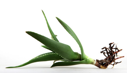 Similar image 8222689