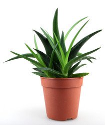 Similar image 8222690