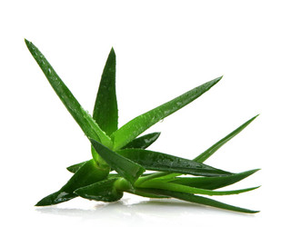 Similar image 8222691