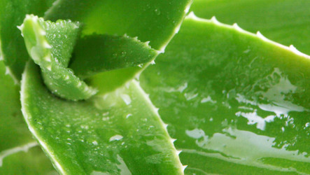 Similar image 8222692