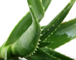 Similar image 8222693