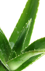 Similar image 8222694