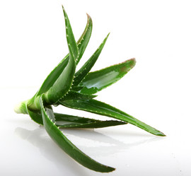 Similar image 8222695