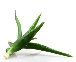 Similar image 8222697