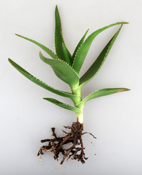 Similar image 8222704