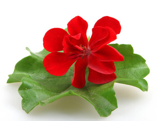 Similar image 8222709