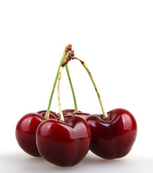 Similar image 8222711