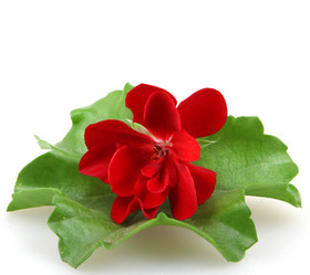 Similar image 8222712