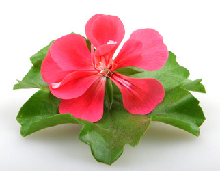 Similar image 8222714