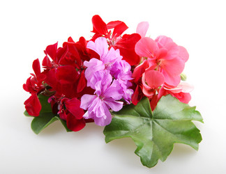 Similar image 8222716