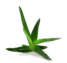 Similar image 8222718