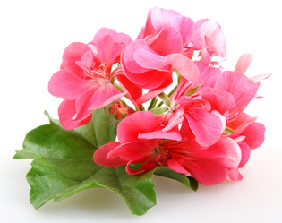 Similar image 8222721