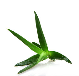 Similar image 8222725