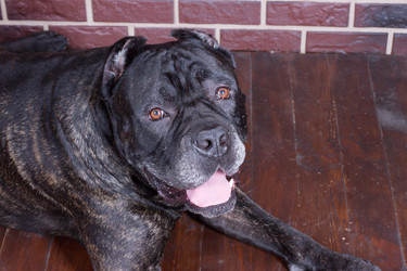 Similar image 8222899