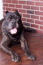 Similar image 8222900