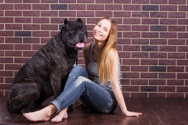 Similar image 8222905