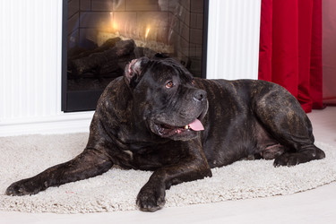 Similar image 8222915