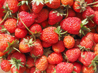 Similar image 8223009