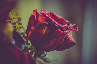 Similar image 8223105