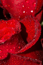 Similar image 8223133